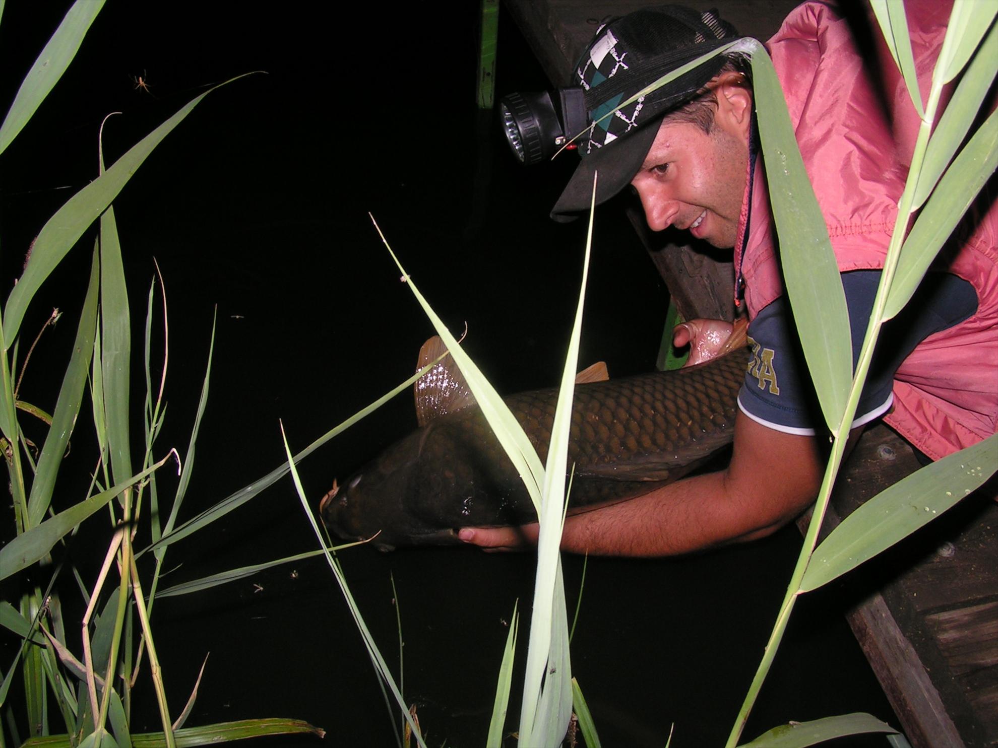 Lates 2-3.07.2012 - pict0032.JPG